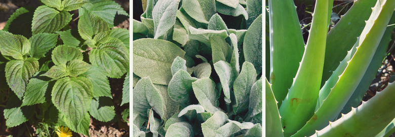 photo format blog 5