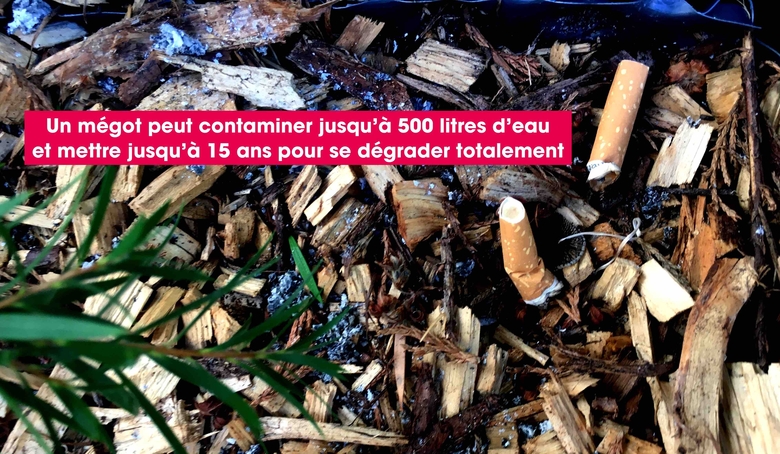 environnement